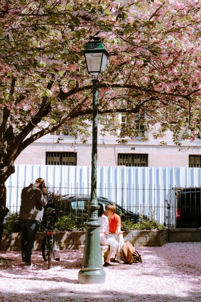 Couple enjoys a spring day under cherry blossoms in a Parisian park.